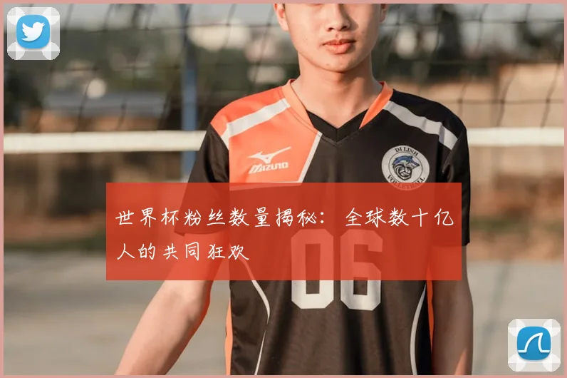 世界杯粉丝数量揭秘:全球数十亿人的共同狂欢