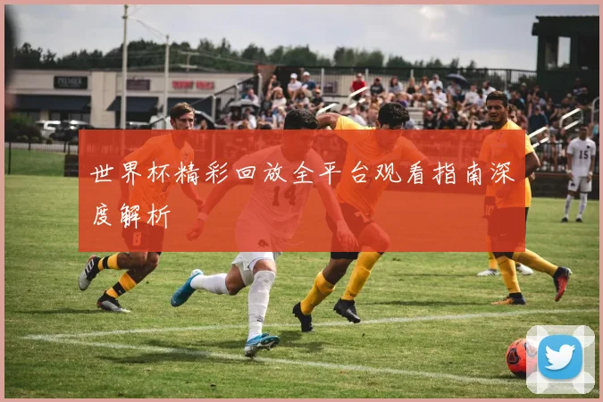 世界杯精彩回放全平台观看指南深度解析